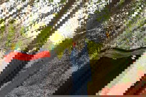 Klessnor uttrekkbar - 5,7m - Hjem & Fritidsshoppen.no