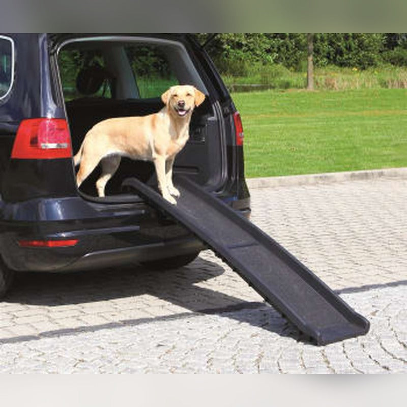 Petwalk Rampe 1,56m / 40cm
