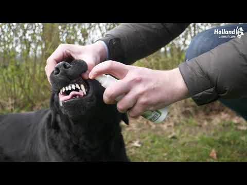 Beaphar Munnspray - video som viser produktet i bruk