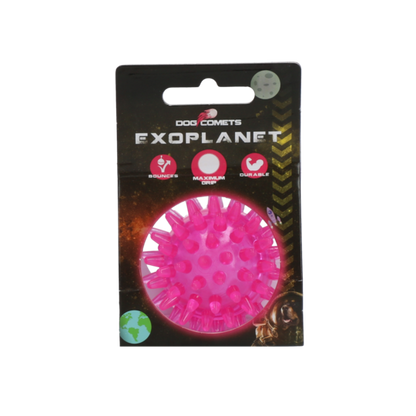 Exoplanet Spiky Ball Rosa