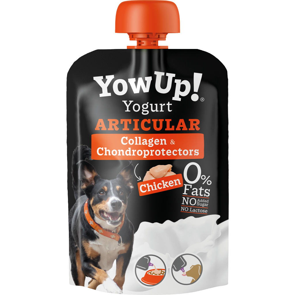 YowUp Yogurt Articular