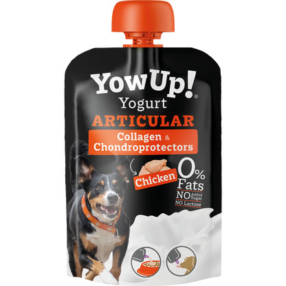 YowUp Yogurt Articular