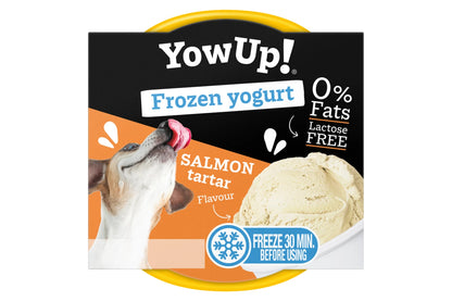 YowUp Frozen Yogurt Salmon Tartar