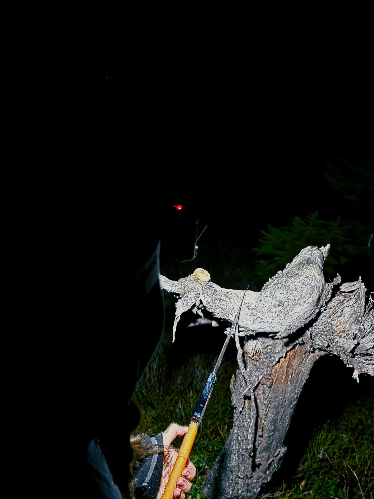 Doite Beam Hodelykt (600 lumen) - Fritidsshoppen.nobobilbobilutstyrcamping