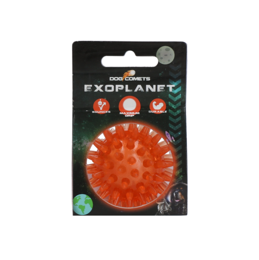 Exoplanet Spiky Ball Oransje