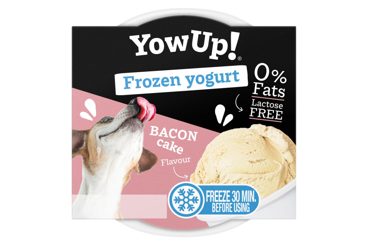 YowUp Frozen Yogurt Bacon Cake