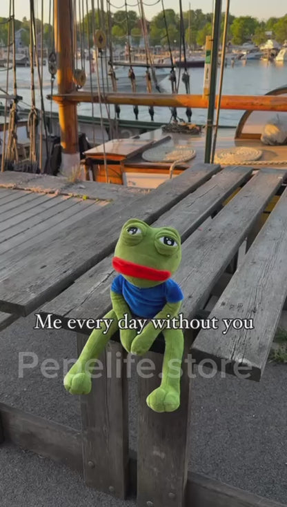 SAD PEPE®   PEPE needs a Friend - Bestselger