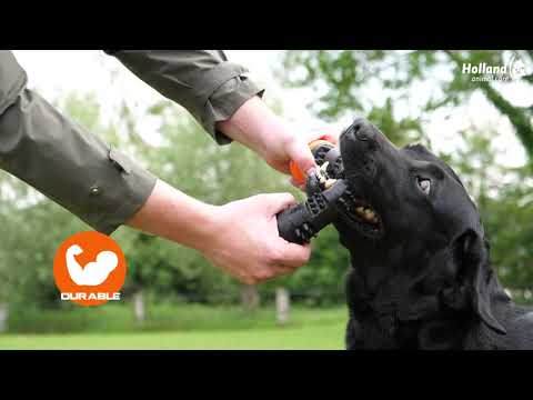 Dog Comets Meteor Throwing Stick - video som viser produktet i bruk