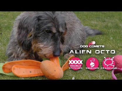 Dog Comets Alien Octo - video som viser produktet i bruk