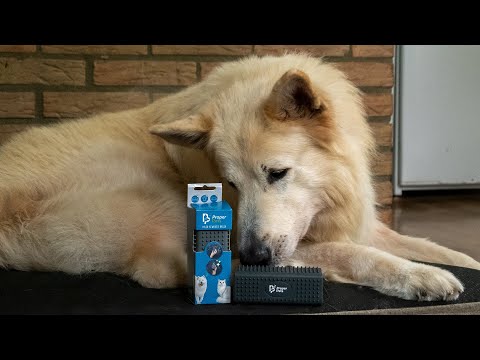 Proper Pets Hair Remover - video som viser produktet i bruk