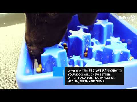 Eat Slow Live Longer Star - video som viser produktet i bruk