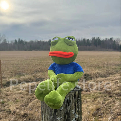SAD PEPE® PEPE needs a Friend - Bestselger - Fritidsshoppen.no