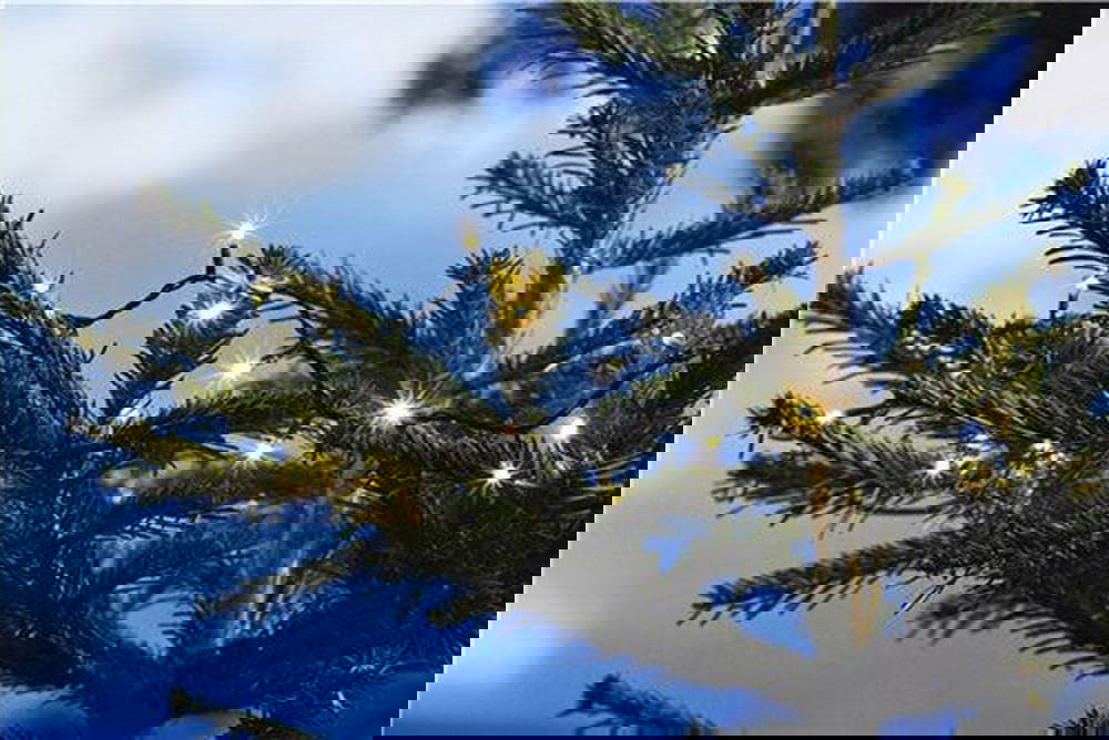 Lyslenke  40DIODER m/timer batteri,  fra DAY - Hjem & Fritidsshoppen.no